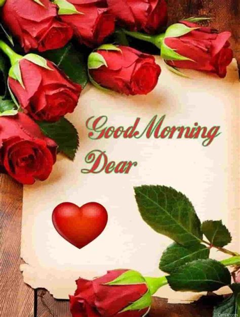 55 Good Morning Rose Flowers Images Pictures With Romantic Red Roses