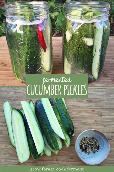 Fermented Cucumber Dill Pickles Artofit