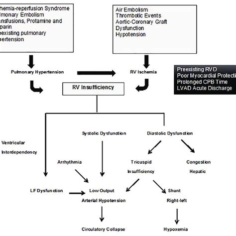 (PDF) Postoperative Right Ventricular Failure in Cardiac Surgery