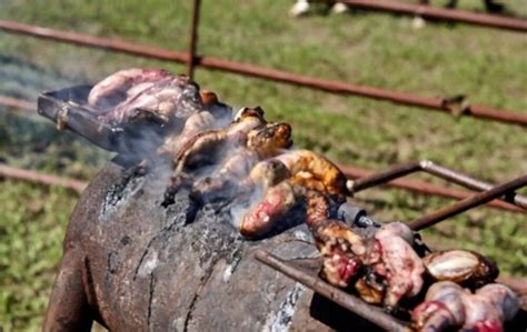 What Do Rocky Mountain Oysters Taste Like? Flavor Unveiled