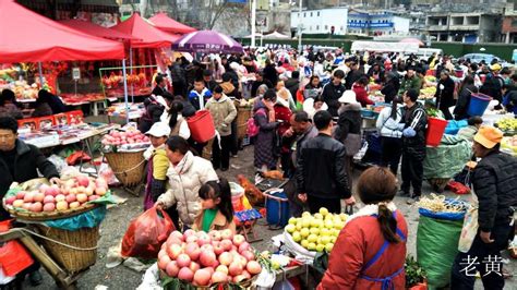 【新春走基层】六盘水热热闹闹赶大集年味浓浓迎新春贵州新闻华人头条