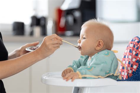 Introdução alimentar quando começar fases e dicas