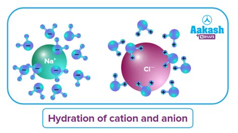 Explain Hydrolysis Of Various Types Of Salts