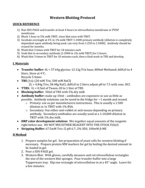 Western Blotting Protocol