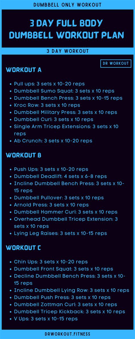 3 Day Full Body Dumbbell Workout Plan Dumbbell Workout Routine Cardio