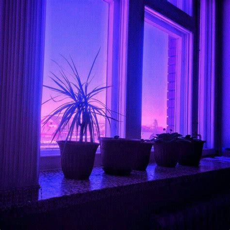 Purple Vibe Pastel Purple Purple Rain Shades Of Purple Purple Color