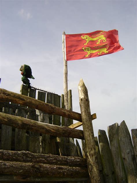 Seeing Medieval Flags