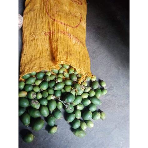 Jual Buah Pinang Muda Segar 1 KG Isi Buah Masih Lembek Dan Mudah Di