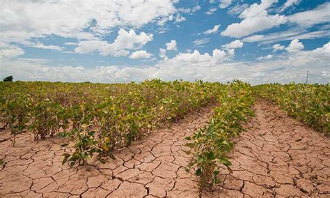 Cambio climático y su huella en la producción de alimentos