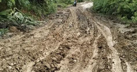 Pasca Longsor Jalan Lintas Antar Desa Di Aceh Barat Rusak Berat