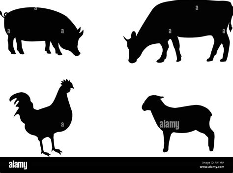 Vector Farm Animals Silhouettes Isolated On White Livestock And