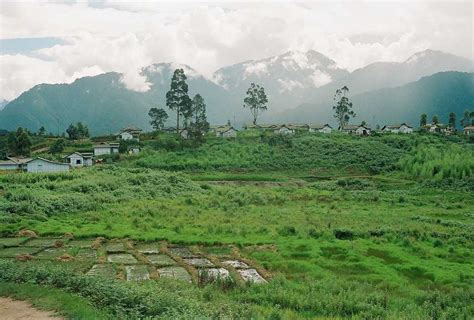 Anini Tourism (2025) - Arunachal Pradesh > Top Places, Travel Guide