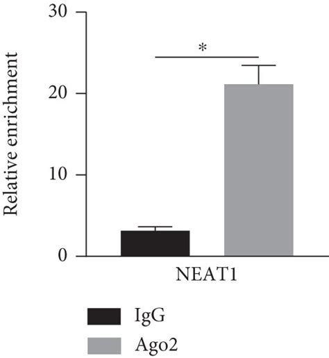 Neat1 Binds To Mir 122 5p And Downregulates Its Expression A