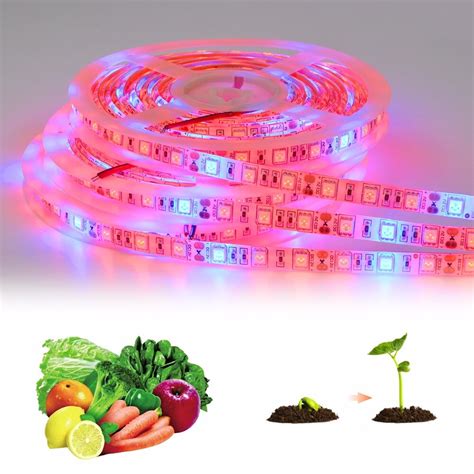 Full Spectrum Led Grow Lights Dc V Smd M Led Strip Light Phyto