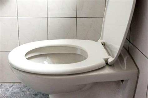 * What Types of Toilet Seats Exist and Which One Should You Get ...