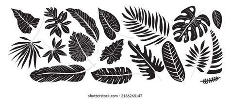 Set Various Tropical Palm Leaves Black Stock Vector Royalty Free