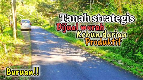 Dijual Tanah Butanah Strategis Akses Jalan Papasan Bonus Pohon Durian