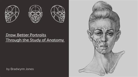 Facial Anatomy Course Master Portraits On Gumroad