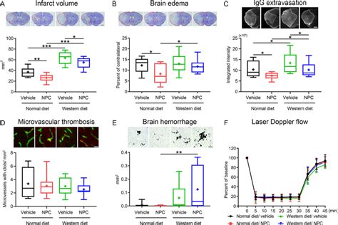 Neural Precursor Cells Npcs Induce Cerebroprotection And Reduce Download Scientific Diagram