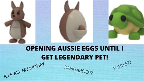 OPENING AUSSIE EGGS UNTIL I GET A LEGENDARY PET!! *DID I GET MY DREAM ...