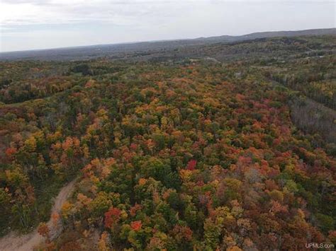 40 Acres Of Land For Sale In Bessemer Michigan Landsearch