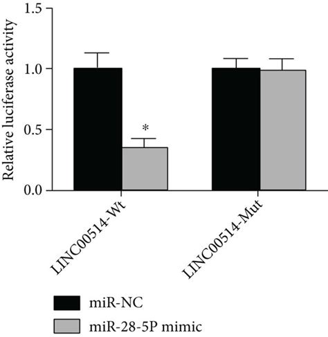 Linc Is Targeted And Negatively Mediated By Mir P A The