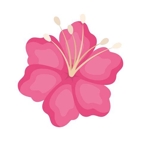 diseño de vector de flor hawaiana rosa aislado 4077726 Vector en Vecteezy