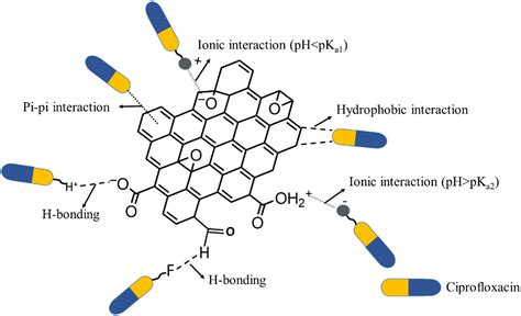 Efficient Removal Of Ciprofloxacin From Aqueous Solution Using Znc