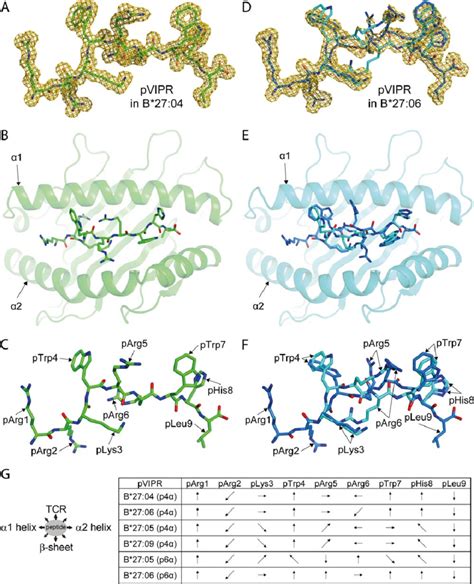 Complexes Of A Self Peptide Derived From Vasoactive Intestinal Peptide