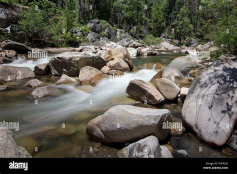 Stanislaus River Big Trees State Hi Res Stock Photography And Images