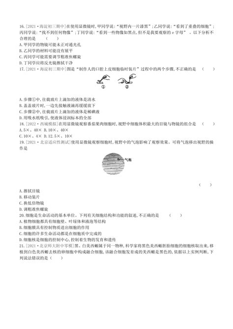 2023年中考生物一轮复习课时训练04 细胞的结构与生活（北京专用、含答案）21世纪教育网 二一教育