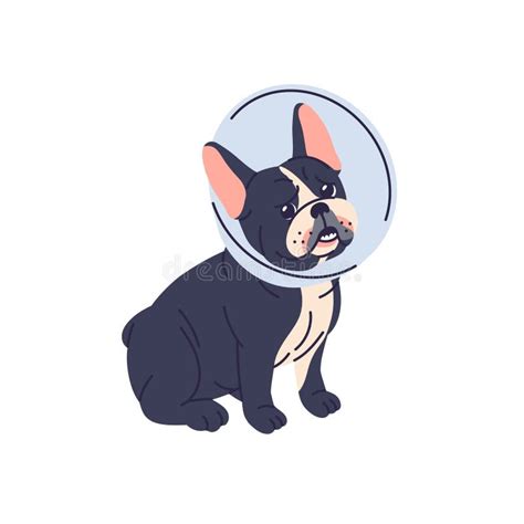 Dog Head Cone Stock Illustrations – 274 Dog Head Cone Stock ...