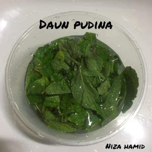 Cara Simpan Daun Pudina Agar Tahan Lama Tak Hilang Bau