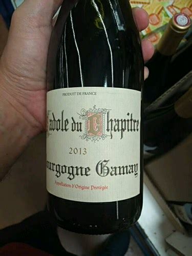 2020 Clos Du Chapitre Cadole Du Chapitre Bourgogne Gamay Vivino France