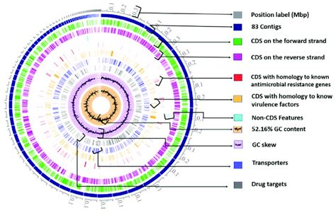 A circular graphical display of the distribution of the genome ... 