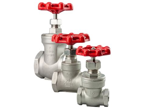 Model G 20 316SS Screwed Gate Valve Braeco Sales