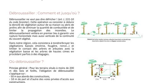 Obligation L Gale De D Broussaillement Site Officiel De Pontenx Les