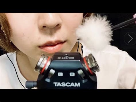 Asmrtascam Ear Cleaning Mic Tapping Brushing Cotton Swab No