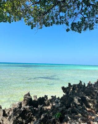 Fanjove Island Luxury Hotel In Zanzibar Island Jacada Travel