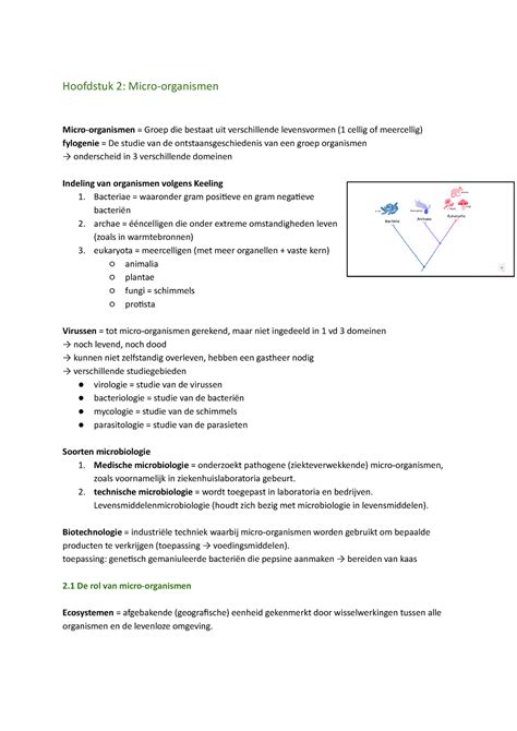 Samenvatting Microbiologie Hoofdstuk Micro Organismen Micro