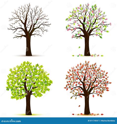 Four seasons trees vector stock vector. Illustration of orange - 81174547