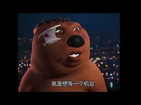 Китайский бобер - мем, шаблон (Chinese beaver memes) - YouTube