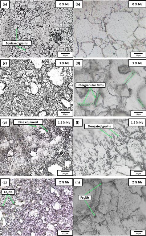 Iron Based Alloy Microstructures Showing Low And High Magnifications