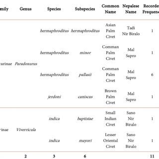 (PDF) New Record of Civets at Bharatpur, Chitwan and a Review of the Species Diversity in Nepal