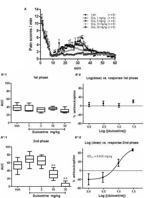 Frontiers Analgesic Effects Of Duloxetine On Formalin Induced