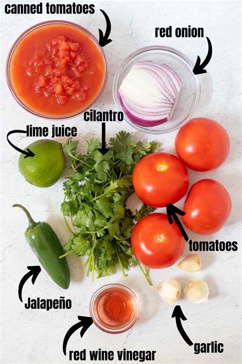 Homemade Salsa Recipe (Fresh, Easy) - Apples for CJ