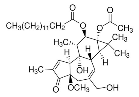 ホルボール 12 ミリスタート 13 アセタート 4 O メチルエーテル Sigma Aldrich