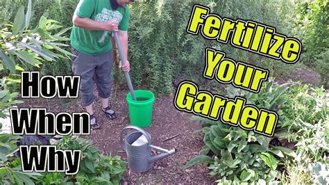 How To Fertilize Your Garden The Correct Way How When And Why Youtube