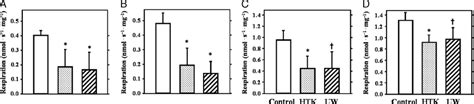 Mitochondrial Respiration In Permeabilized Cardiac Fibers After 10 H Of