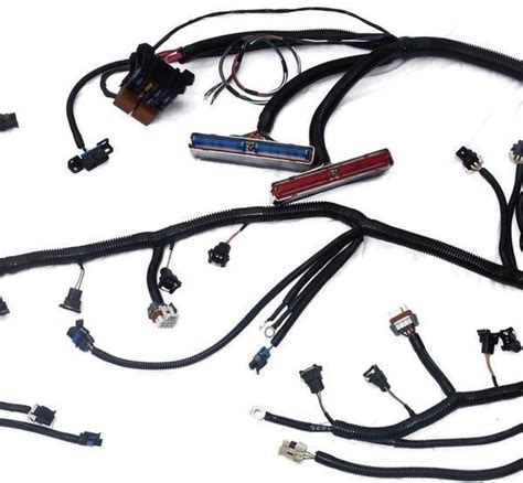 Stand Alone Ls Wiring Harness And Pcm